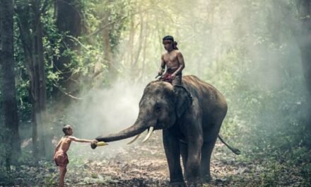Community Development Programmes for Environmental Sustainability in India